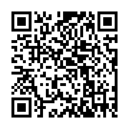 QR code for 96382