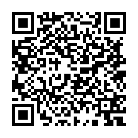 QR code for 9638209