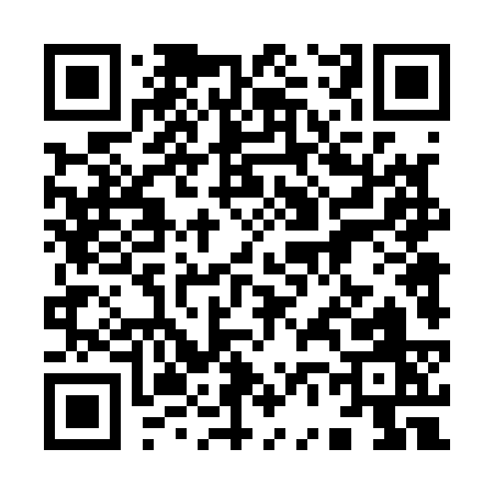 QR code for 96413