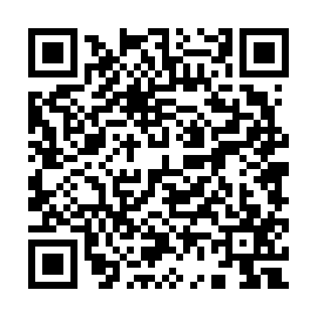 QR code for 9646173