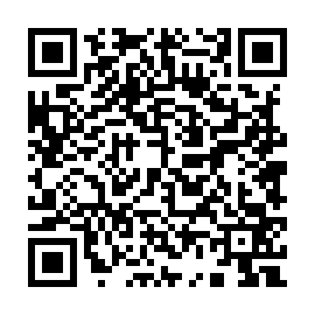 QR code for 9649638