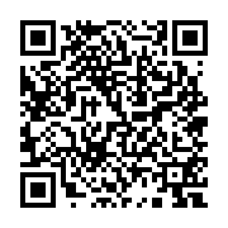 QR code for 9653507