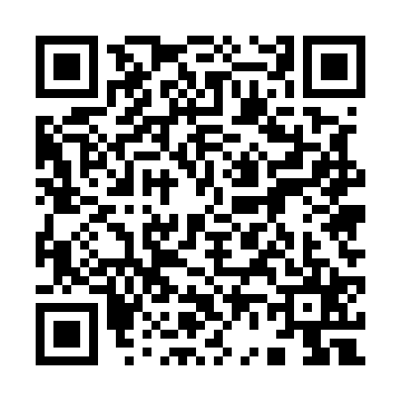 QR code for 9655251