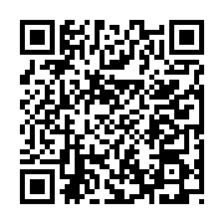 QR code for 9656640
