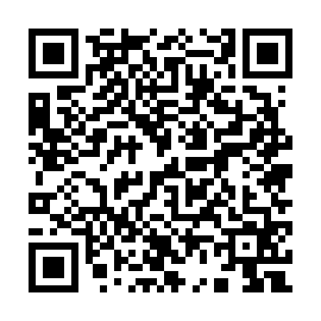 QR code for 9656648
