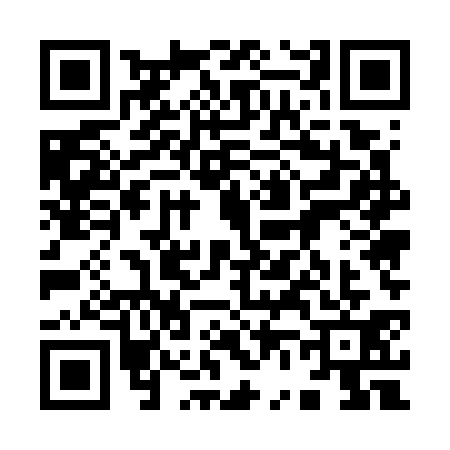 QR code for 9657313