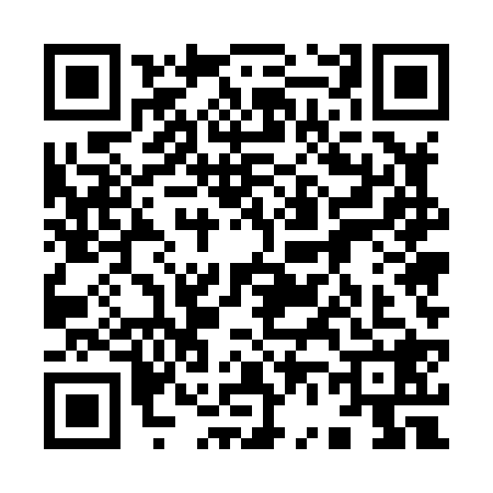 QR code for 9658286