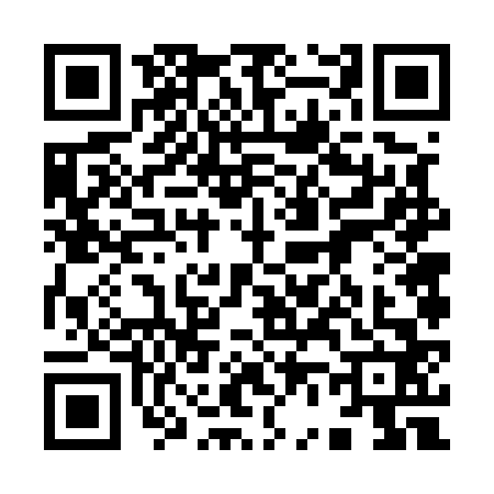 QR code for 9665624