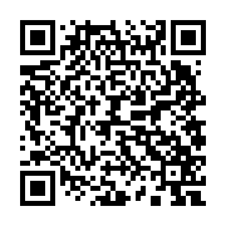 QR code for 966667
