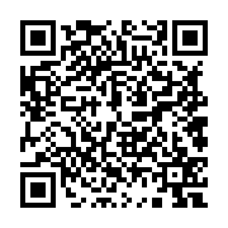 QR code for 9668378