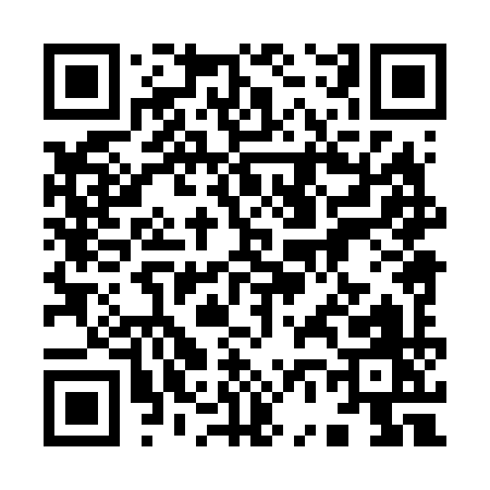 QR code for 96869