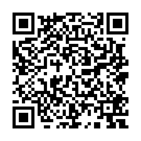 QR code for 9690095
