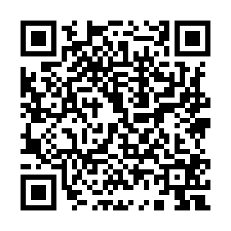 QR code for 9699045