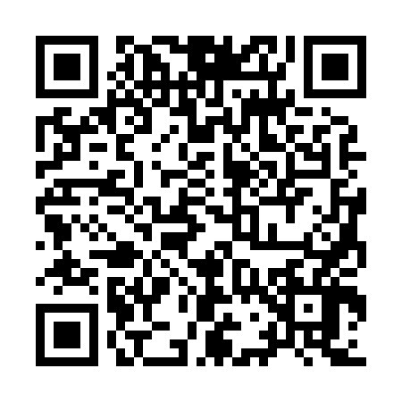 QR code for 9738461