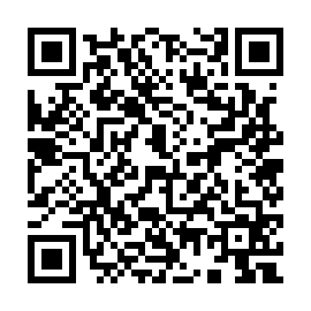 QR code for 9771647