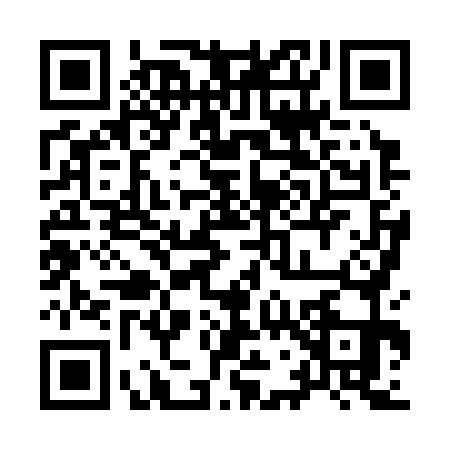 QR code for 9783717