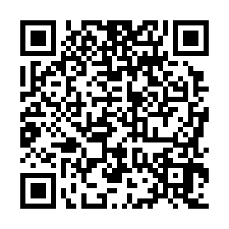 QR code for 9783822