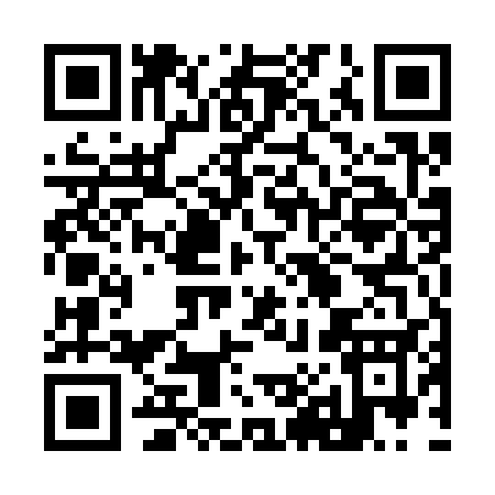 QR code for 98533
