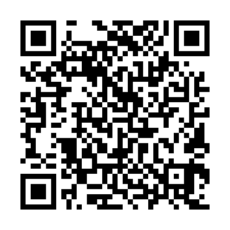 QR code for 985541