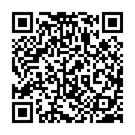 QR code for 990119