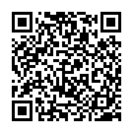QR code for 991223