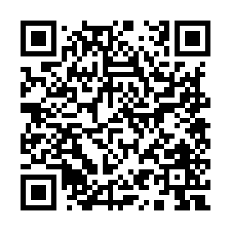 QR code for 99295