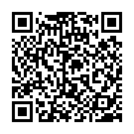 QR code for 993738