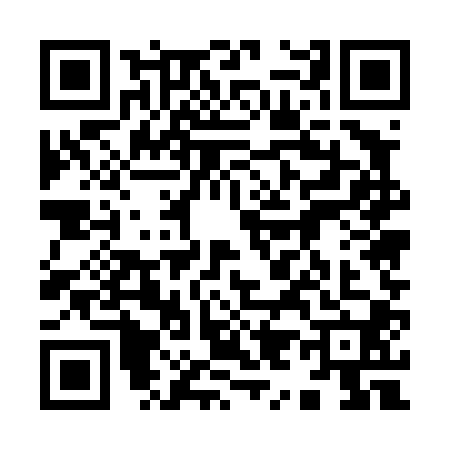 QR code for 9954002