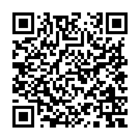 QR code for 99593