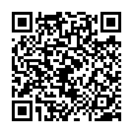QR code for 9966289