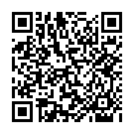 QR code for 9966463
