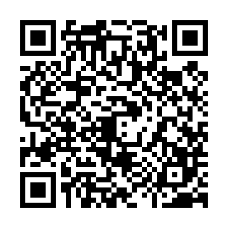 QR code for 9994867