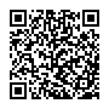 QR code for ADP383