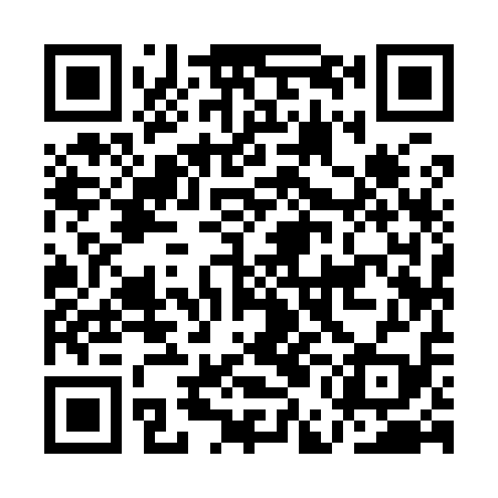 QR code for AEI919