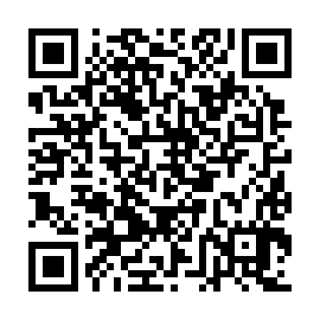 QR code for AFF387