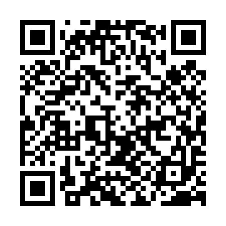 QR code for AIE493