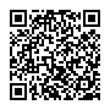 QR code for AIN495