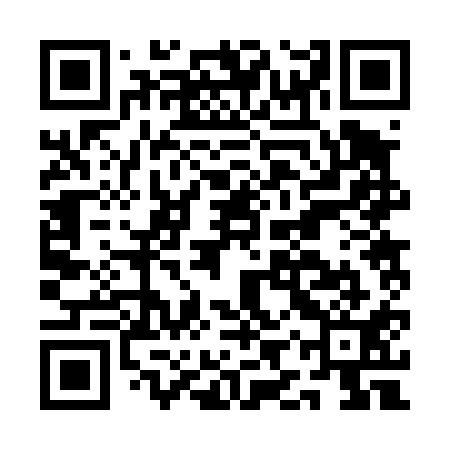 QR code for AIR411