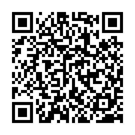 QR code for AIU295