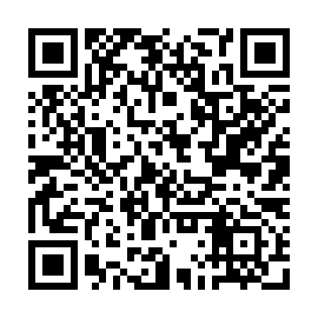 QR code for ALV393