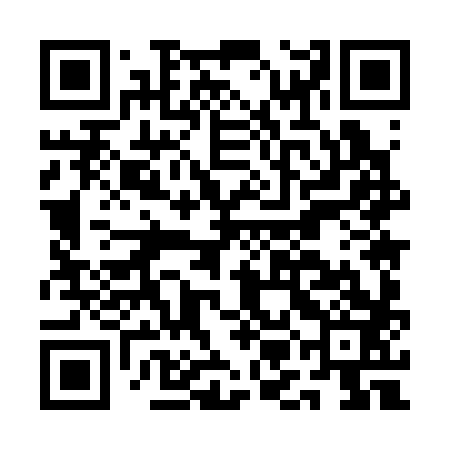 QR code for AMM383
