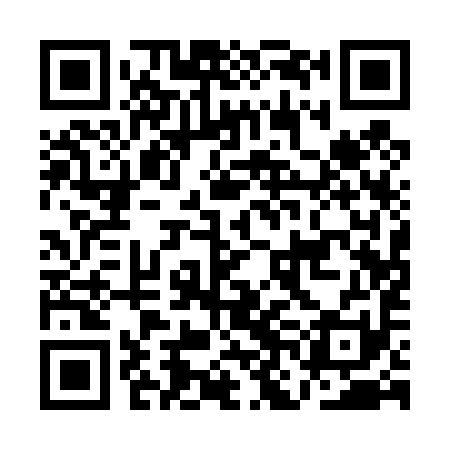 QR code for ANA491