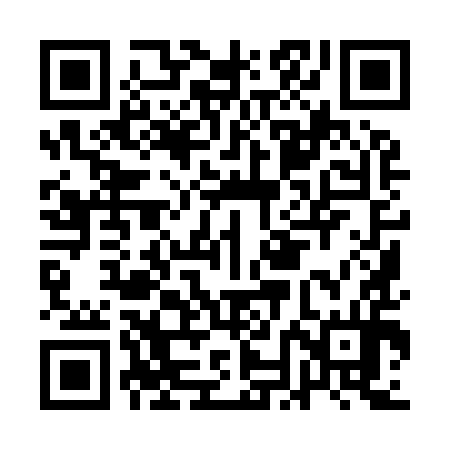 QR code for ANI994