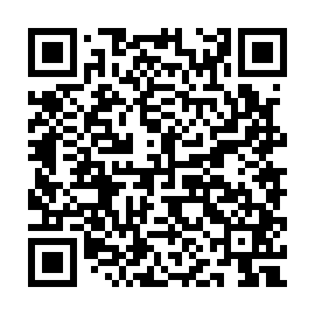 QR code for ANN141