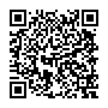 QR code for ANY498