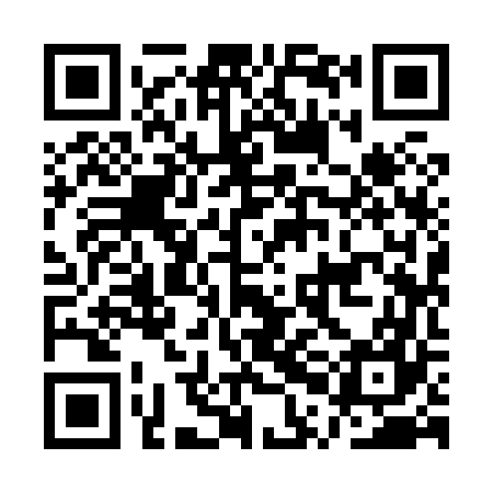 QR code for API867