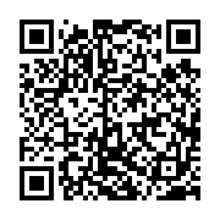 QR code for APP613