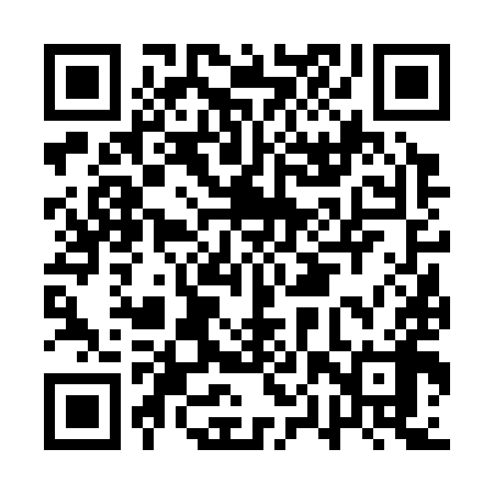 QR code for APV398