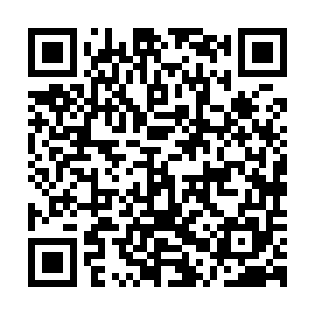 QR code for APX955
