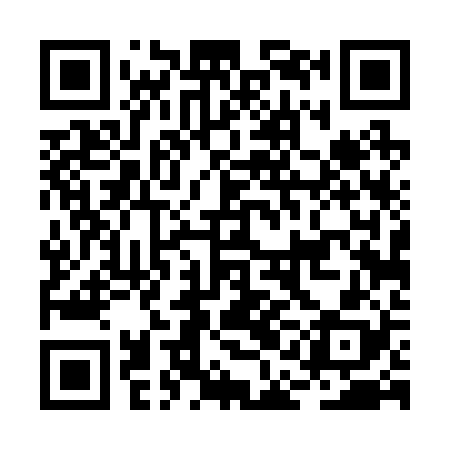 QR code for BAD228
